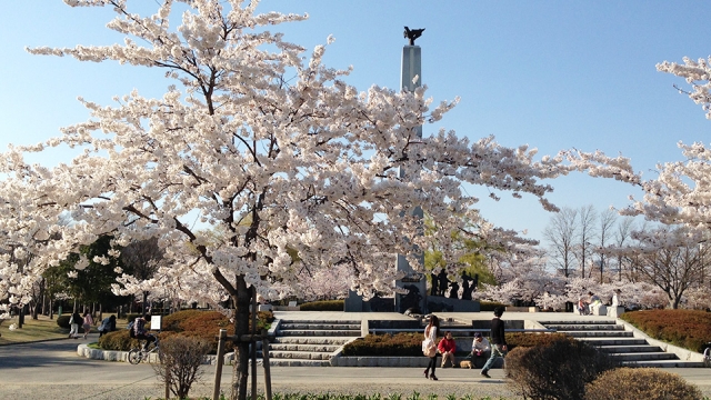 開成山公園ペデストリアンデッキ建設プロジェクト：土木施工管理技士の新たな挑戦